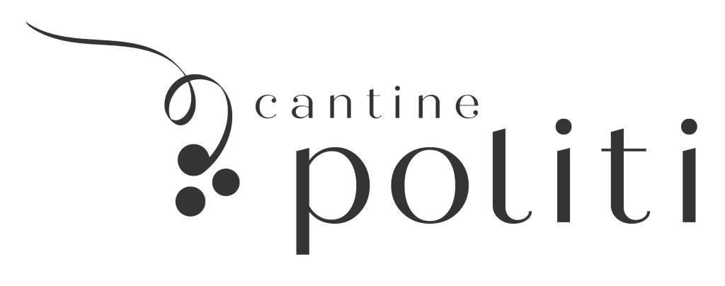 LOGOPOLITI 1024x404